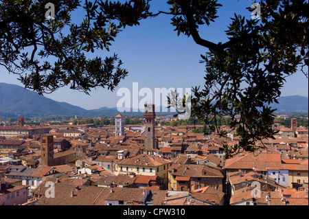 Blick vom Torre Guinigi Turm L bis R Palazzo Ducale, Chiesa di San Cristoforo, Chiesa di San Michele, Torre Del Erz, Lucca Italien Stockfoto