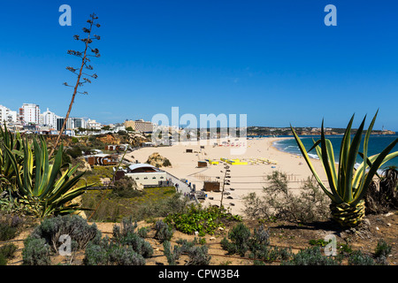 Blick über den Strand im Zentrum des Ferienortes Praia da Rocha, Portimao, Algarve, Portugal Stockfoto