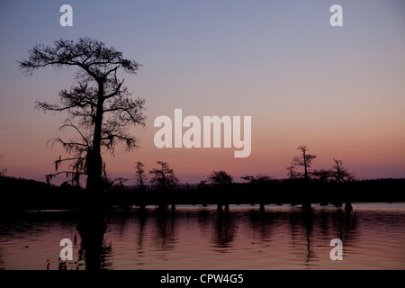 Frühmorgens am Caddo Lake, Texas und Louisiana Boarder Stockfoto