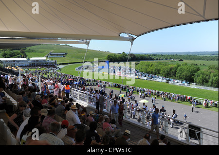 Goodwood Rennbahn West Sussex UK Stockfoto