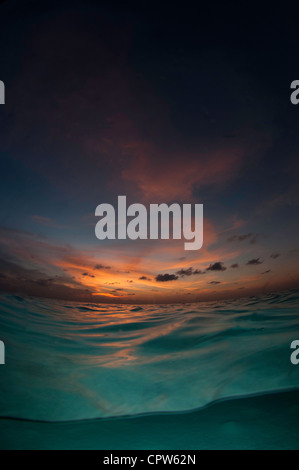 Sunet unter Wasser aus geschossen, Lankayan, Sabah, Malaysia Stockfoto