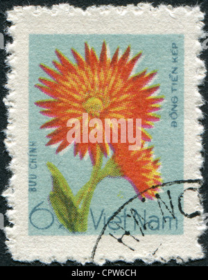 VIETNAM - CIRCA 1978: Eine Briefmarke gedruckt in Vietnam, abgebildeten Blüten Margeriten, ca. 1978 Stockfoto