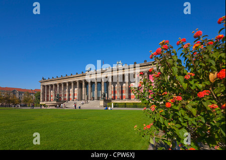 Altes Museum und Lustgarten, ein Teil des UNESCO-World Heritage Site "Museum Island'in Berlin mit Blumen Stockfoto