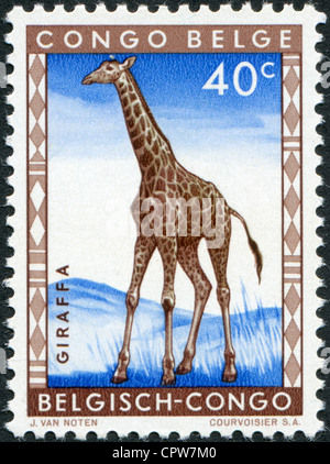 Belgisch-Kongo - ca. 1959: Briefmarken gedruckt in Belgisch-Kongo, zeigt eine Giraffe, ca. 1959 Stockfoto