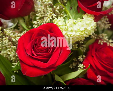 Rote Rosen in einem Blumenstrauß der Blumen Stockfoto