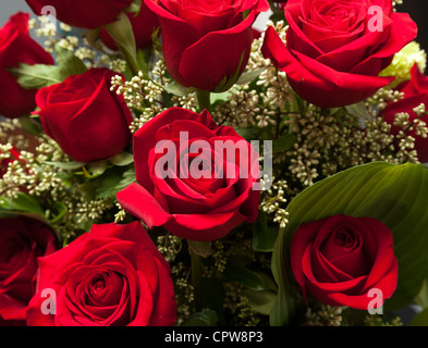 Strauß roter Rosen in ein Valentinstag Blumenstrauß schließen bis auf den Blumen Stockfoto