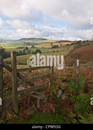 Ein Blick auf Hazler und Ragleth Hügel von Hope Bowdler Hill in Shropshire Hügel AONB, in der Nähe der Stadt Kirche Stretton Stockfoto