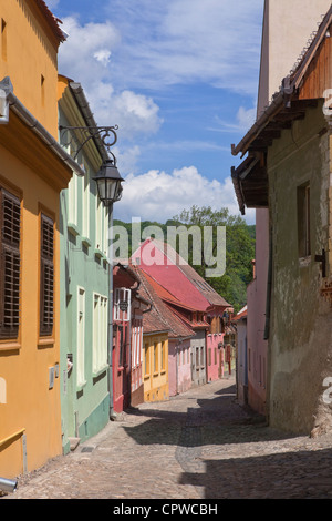 Straße von Sighisoara, Karpaten Siebenbürgens, Târnava Mare Fluss Mureş Grafschaft, Rumänien, Osteuropa, EU Stockfoto