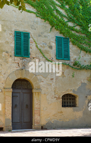 Traditionelles Haus mit grünen Fensterläden und wildem Wein, in der Stadt Monticcheillo, Val D'Orcia Gegend der Toskana, Italien Stockfoto