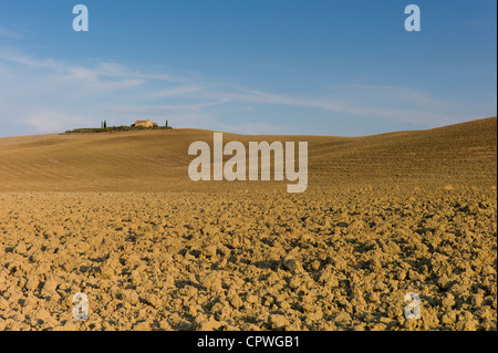Typische toskanische ausgedörrte Landschaft in der Nähe von Pienza in Val D'Orcia, Toskana, Italien Stockfoto