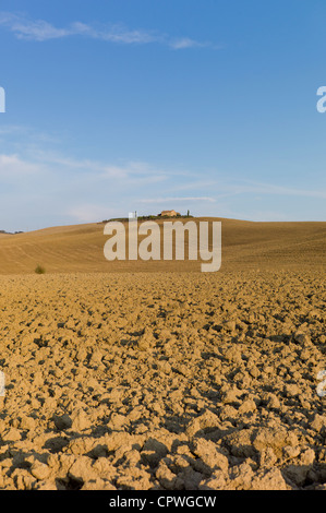 Typische toskanische ausgedörrte Landschaft in der Nähe von Pienza in Val D'Orcia, Toskana, Italien Stockfoto