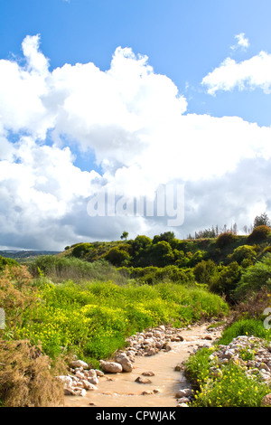 Stream auf Strand Latchi, Polis, Zypern Stockfoto