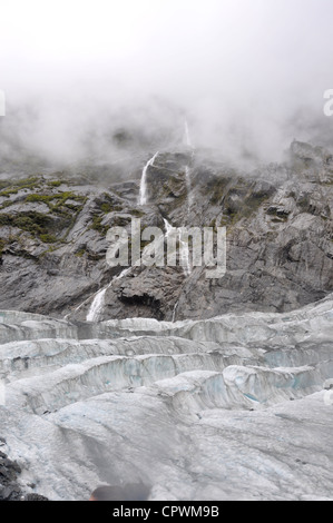 Franz Josef Gletscher Westküste Südinsel Neuseeland Stockfoto