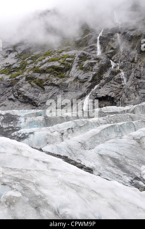 Franz Josef Gletscher Westküste Südinsel Neuseeland Stockfoto