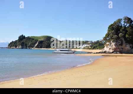 Kaiteriteri Beach, Abel Tasman Nationalpark, Südinsel, Neuseeland Stockfoto