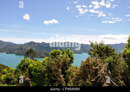 Queen Charlotte Track, Marlborough Sounds, Südinsel, Neuseeland Stockfoto