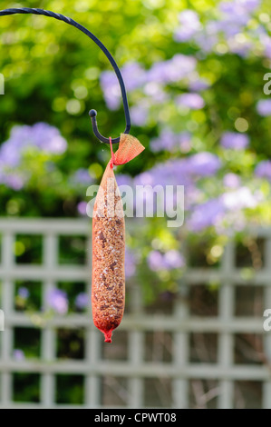 Wilde Maserung Vogelhäuschen net hängen in einem Garten Stockfoto