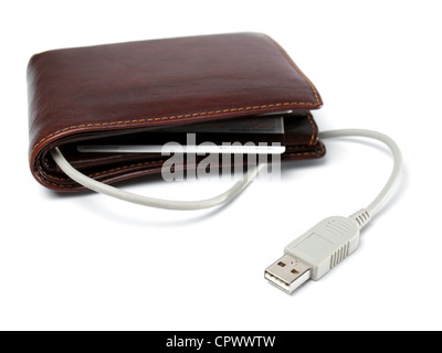 Konzeptuelle Ansicht eine Brieftasche mit Kabel und Computer USB Stecker als Symbol der netbanking Stockfoto