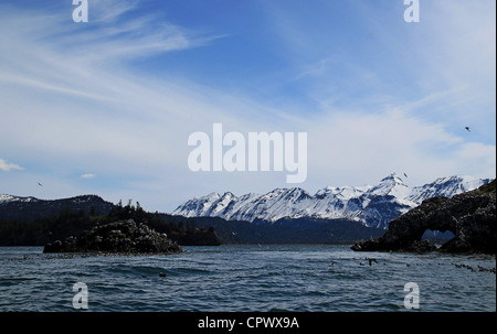 Blick vom Boot auf dem Wasser der Kachemak Bay, Alaska Möweninsel die Kenai Mountains im Hintergrund zu betrachten. Stockfoto