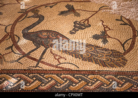 Alten Baptisterium Bodenmosaik in Moses Gedächtniskirche, Amman, Jordanien Stockfoto