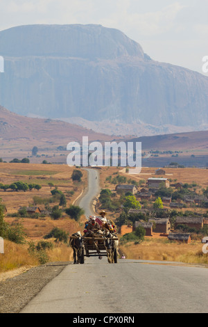 gezeichnete Ochsenkarren auf RN7 Autobahn, zwischen Amblavao und Ihosy, Mitteldorn von Madagaskar Stockfoto