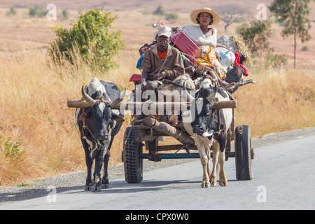 gezeichnete Ochsenkarren auf RN7 Autobahn, zwischen Amblavao und Ihosy, Mitteldorn von Madagaskar Stockfoto