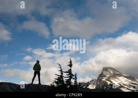 Frau bewundern, Bergblick, Picket Range, North Cascades National Park, Washington, USA Stockfoto