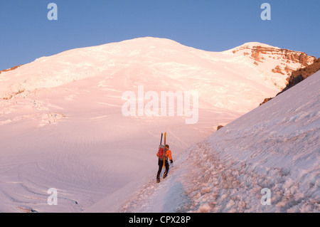 Männliche Bergsteiger mit Ski, Berg, Emmons Gletscher, Mount-Rainier-Nationalpark, Washington, USA Stockfoto