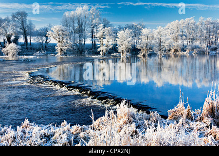 Shannon-Fluss im Winter, Worrels Ende, Castleconnell, county Limerick, Irland Stockfoto