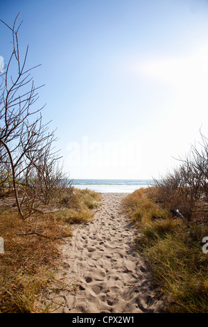 Sand Weg nach Strand, Playa Grande, Santa Cruz, Costa Rica Stockfoto