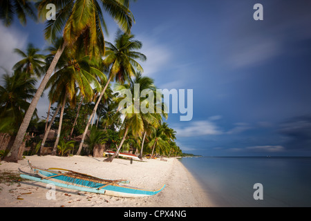 Palmen im Wind, am Strand von San Juan, Siquijor, die Visayas, Philippinen Stockfoto