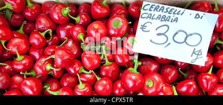 Piment Paprika, Ceraselli di Calabria, zum Verkauf an Wochenmarkt in Panzano in Chianti, Toskana, Italien Stockfoto