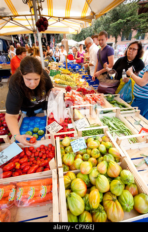 Frau verkaufen frisches Obst am Wochenmarkt in Panzano in Chianti, Toskana, Italien Stockfoto