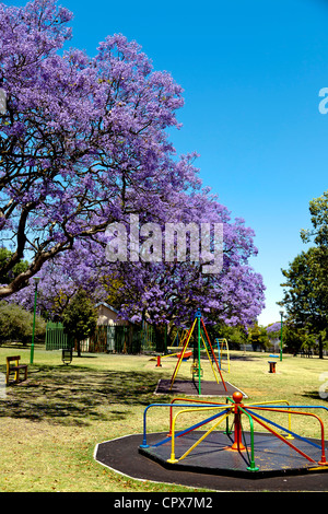 Insgesamt Schuss eines vorstädtischen Parks Stockfoto