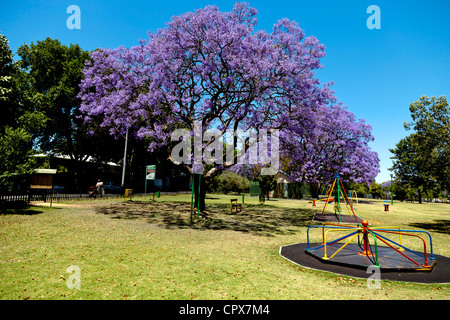 Insgesamt Schuss eines vorstädtischen Parks Stockfoto