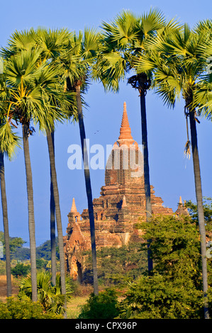 Myanmar (Burma), Old Bagan, Mandalay-Division, Bagan (Pagan) Backstein gebaute Pagode Stockfoto