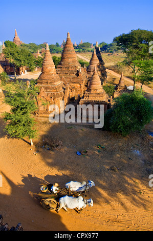 Mandalay-Division, Bagan (Pagan), Myanmar (Burma), Old Bagan, Khaymingha Komplex aus dem 13. Jahrhundert Stockfoto