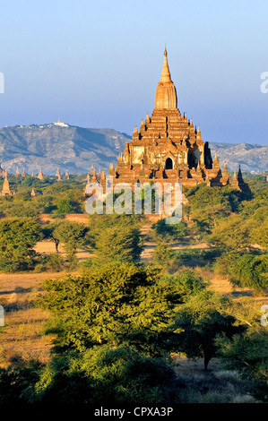 Myanmar Burma Mandalay Abteilung Bagan Pagan Old Bagan archäologische Stätte mit Hunderten von Pagoden Stupas zwischen 10. gebaut Stockfoto