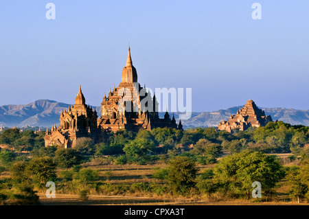 Myanmar Burma Mandalay Abteilung Bagan Pagan Old Bagan archäologische Stätte mit Hunderten von Pagoden Stupas zwischen 10. gebaut Stockfoto