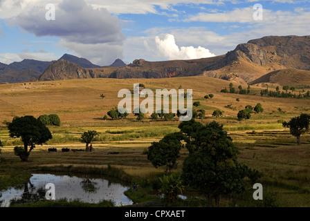 Hochland von Madagaskar ehemalige Provinz von Fianarantsoa hohe Matsiatra Region Blick vom National Road 7 im Südbereich des Stockfoto