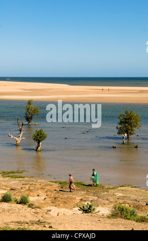 Madagaskar ehemalige Provinz von Toliara Atsimo Andrefana Region South West Coast Landschaft vom Gleis zwischen Tulear Ifaty am Meer Stockfoto