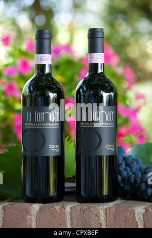 La Fornace Brunello di Montalcino 2005 und 2006 Flaschen Rotwein im Weingut La Fornace in Val D'Orcia, Toskana, Italien Stockfoto