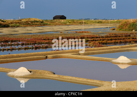 Frankreich, Loire-Atlantique, Presqu'ile de Guerande, Salz Haufen in Salzwiesen Stockfoto