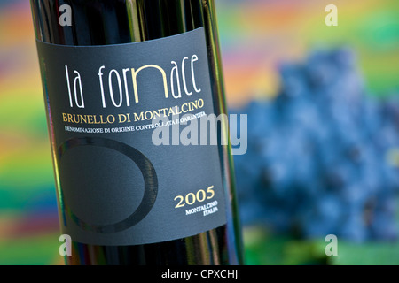 La Fornace Brunello di Montalcino 2005 Flasche Rotwein im Weingut La Fornace in Val D'Orcia, Toskana, Italien Stockfoto