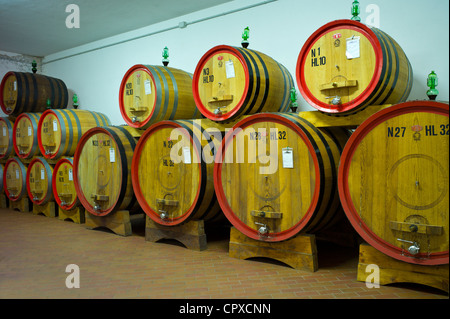 La Fornace Brunello di Montalcino Wein gelagert in Barrique-Fässer auf dem Weingut La Fornace in Val D'Orcia, Toskana Italien Stockfoto