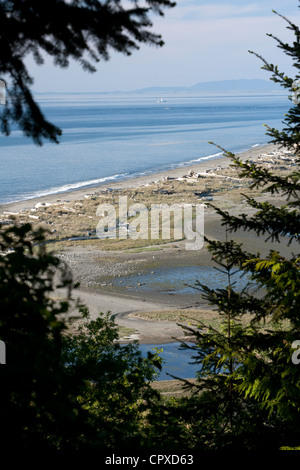 Sand spucken - Dungeness National Wildlife Refuge - Sequim, Washington, USA Stockfoto