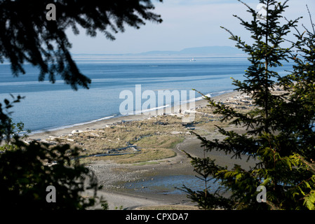 Sand spucken - Dungeness National Wildlife Refuge - Sequim, Washington, USA Stockfoto