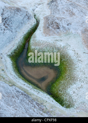 Algen-Pool im Laig Bay, Insel Eigg, Schottland, Großbritannien Stockfoto