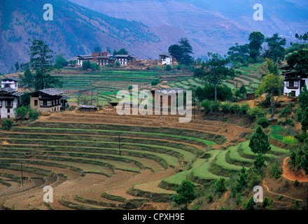 Bhutan Wangdue Phodrang Bezirk Wangdiphodrang Tal eines der reichsten Boden des Landes neuem Anbaugebiete traditionellen Gehäuse Stockfoto