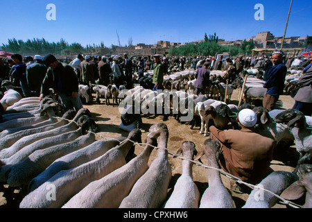 China, Provinz Xinjiang, Kashgar (Kashi), alte Stadt-Basar, Ouigour Bevölkerung, Sonntagsmarkt, Viehmarkt Stockfoto